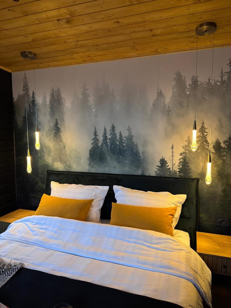 Bed, Natural landscape, Photo of the whole room, Bedroom