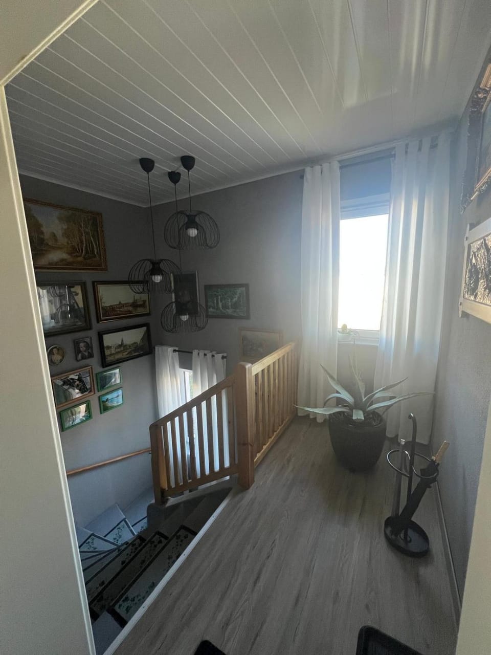 Aluxhaus Apartment in Dresden