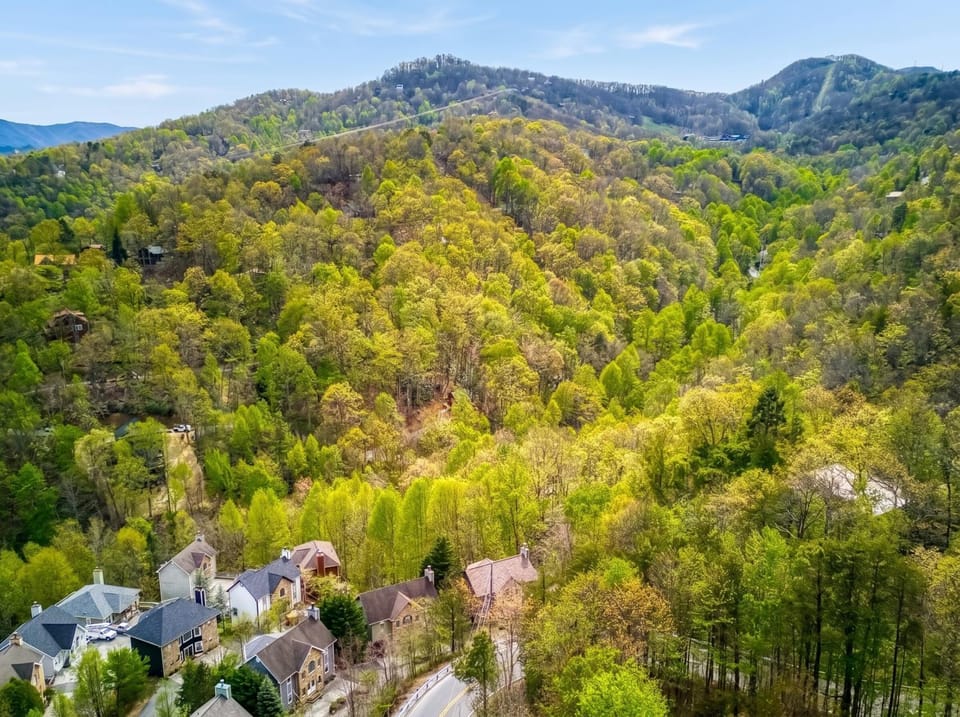 Spring, Day, Natural landscape, Bird's eye view, View (from property/room), View (from property/room), Decorative detail, Decorative detail, Mountain view, Mountain view