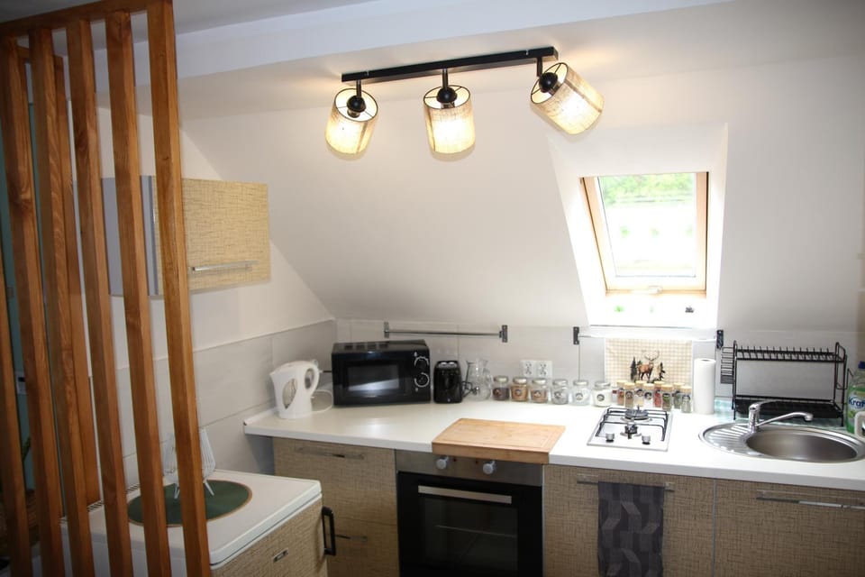Kitchen or kitchenette, microwave, oven, stove, kitchen