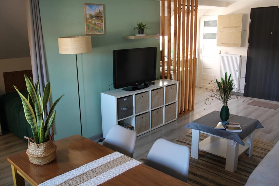 Living room, Entertainment