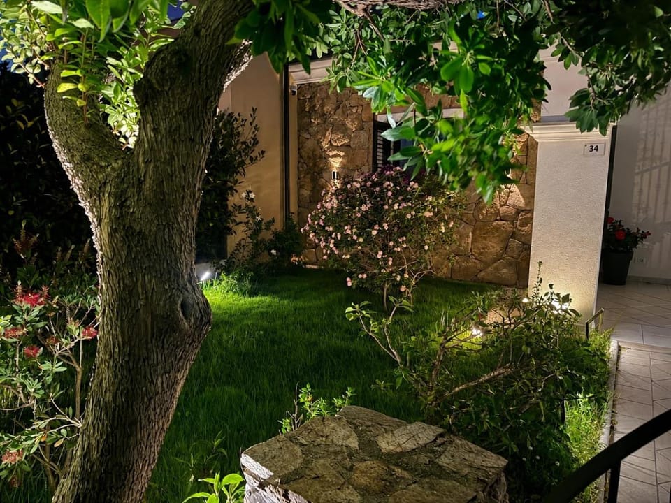 Night, Garden, Garden view