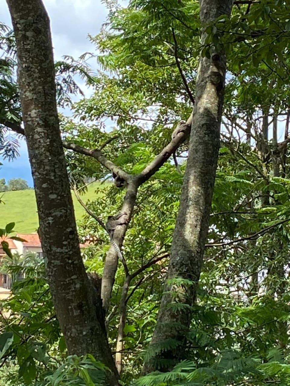 Chácara Recanto do Sagui House in State of São Paulo