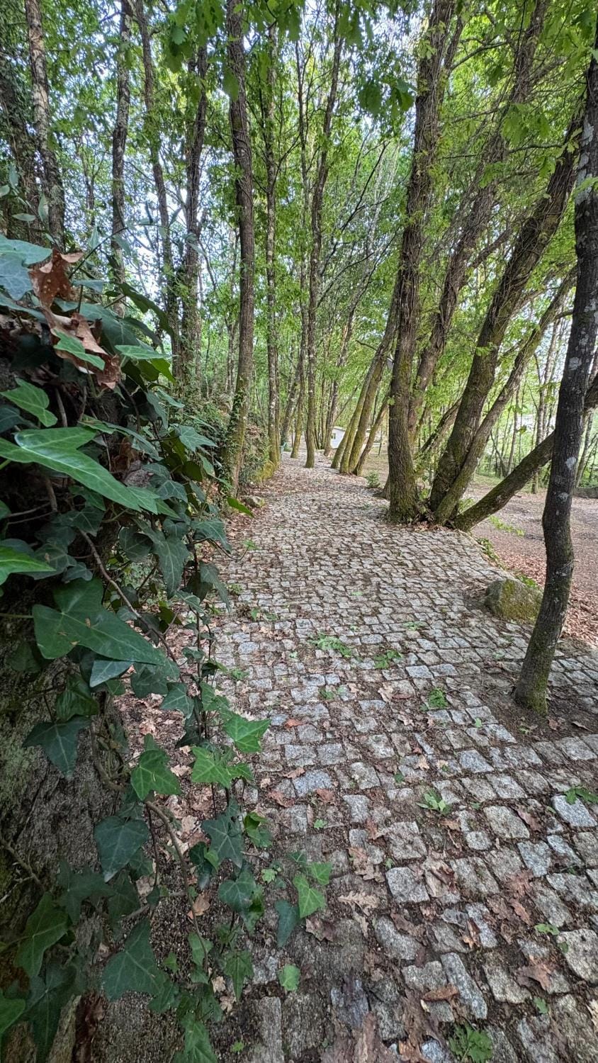 Casinha das bonecas Chalet in Portugal