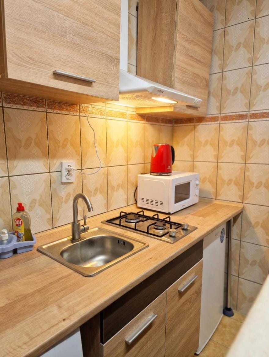 Metro Cozy Studio Apartment in Romania