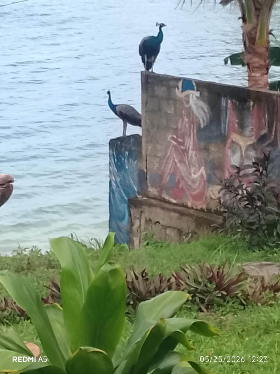 Noah's surf house House in Southern Province