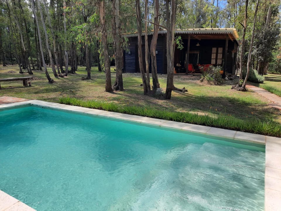 Natural landscape, Garden, Garden view, Swimming pool