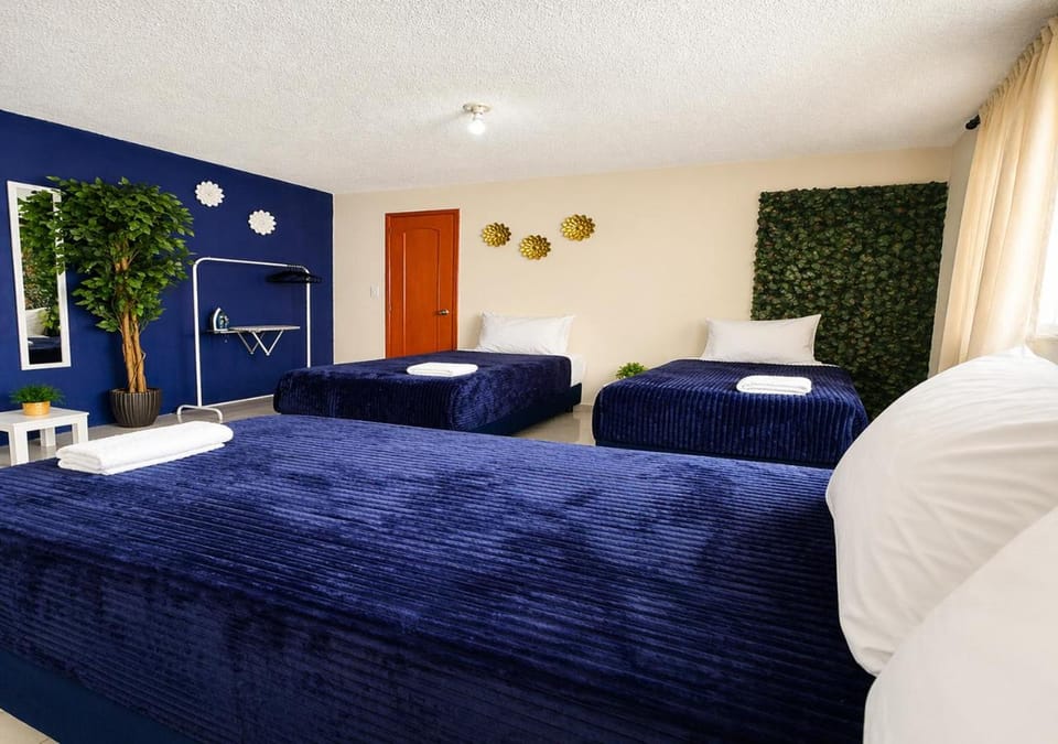 Bed, Bathroom, TV and multimedia, Street view, flat iron, internet, towels