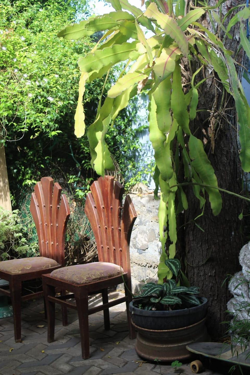 surfing lion villa kudawella Apartment in Southern Province