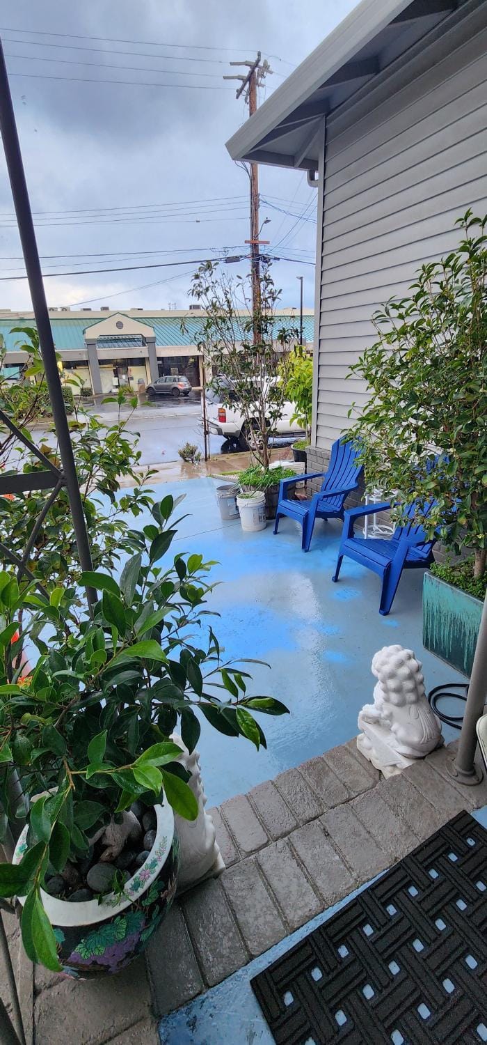 View (from property/room)