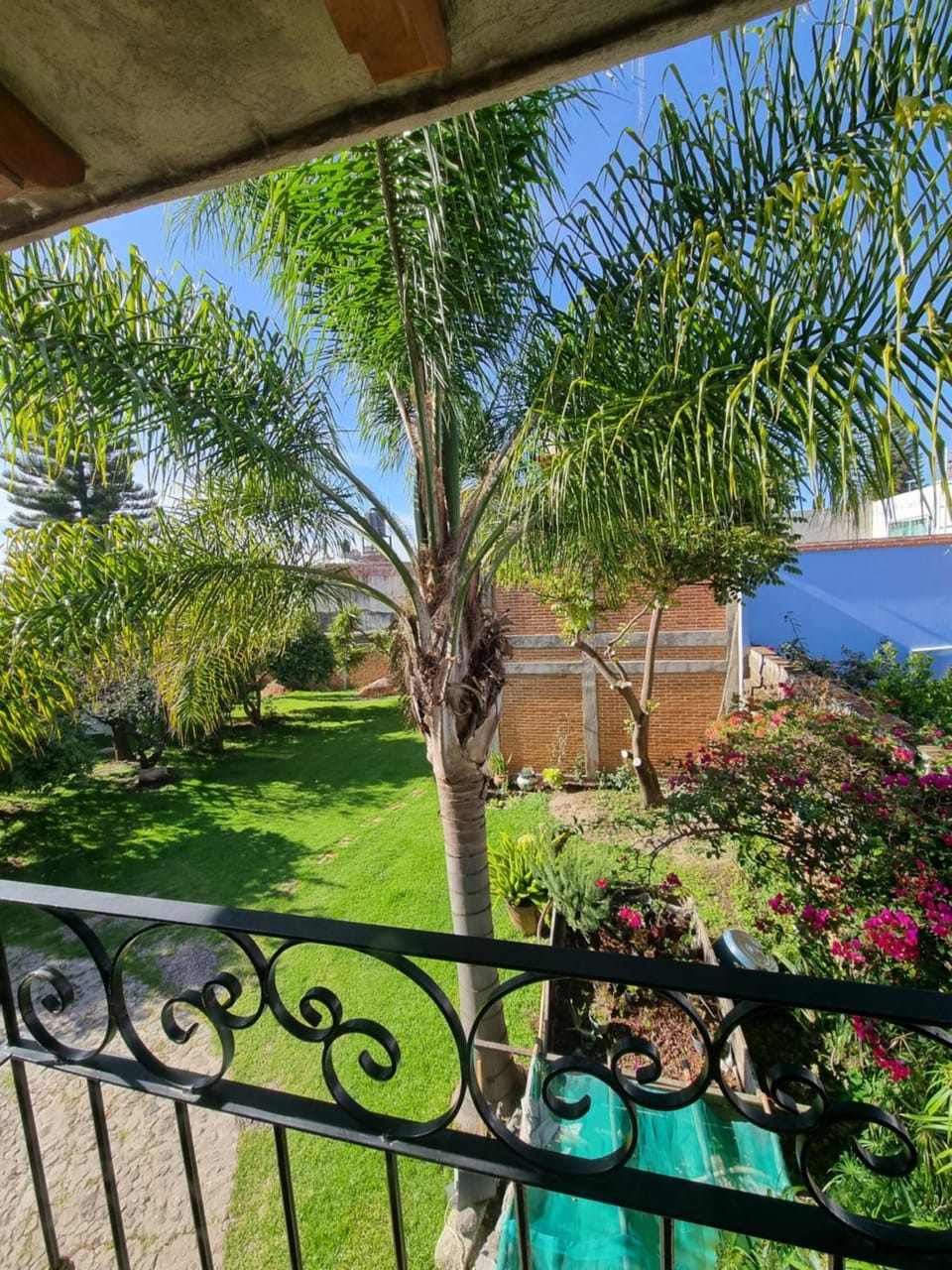 Garden view