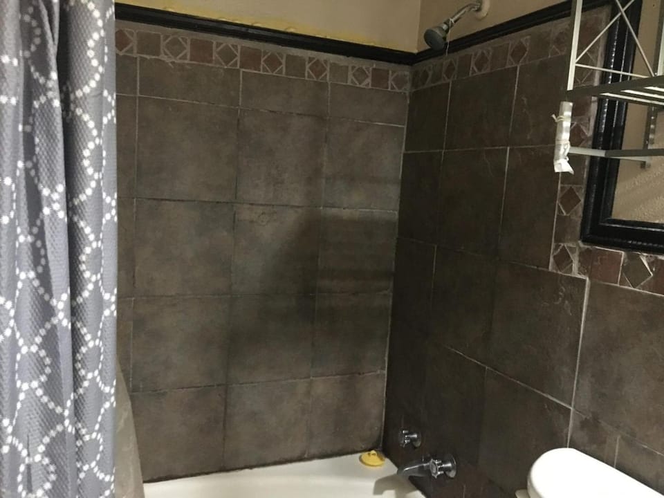 Spacious Beautiful House near Botanical Garden Apartment in Mobile