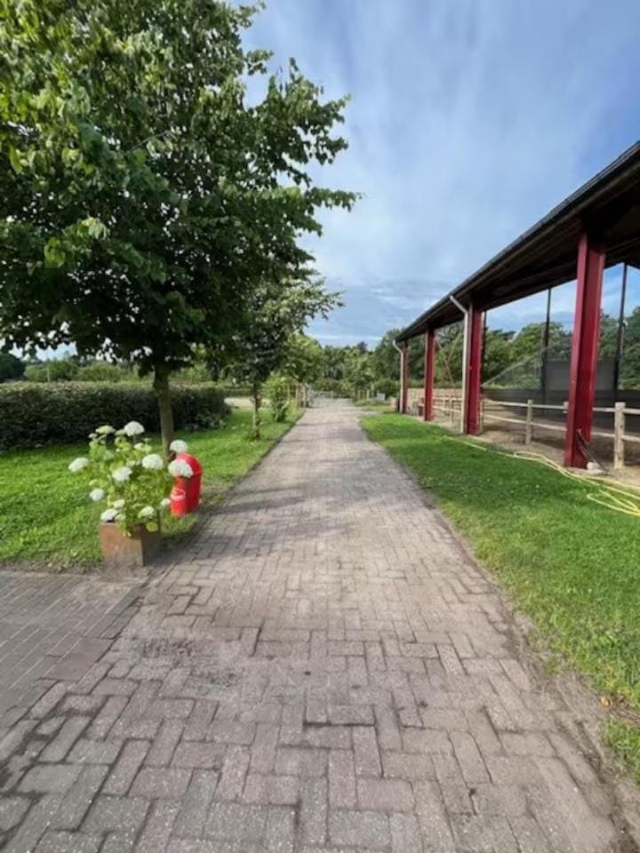 Wills ranch - Lucky Lukes Hideway Apartment in Roggel