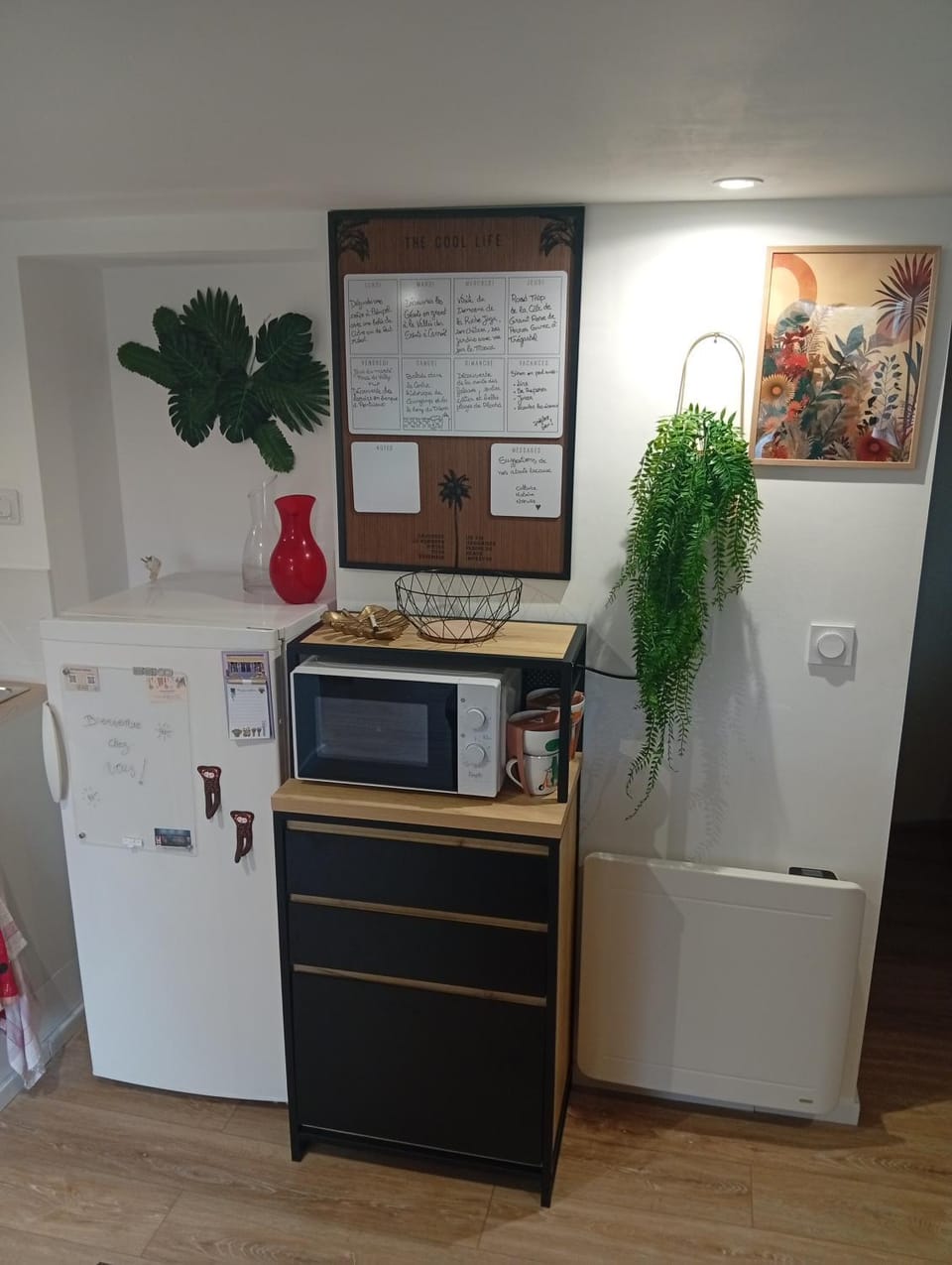 Kitchen or kitchenette, Communal kitchen, stove, stove, kitchen, kitchen