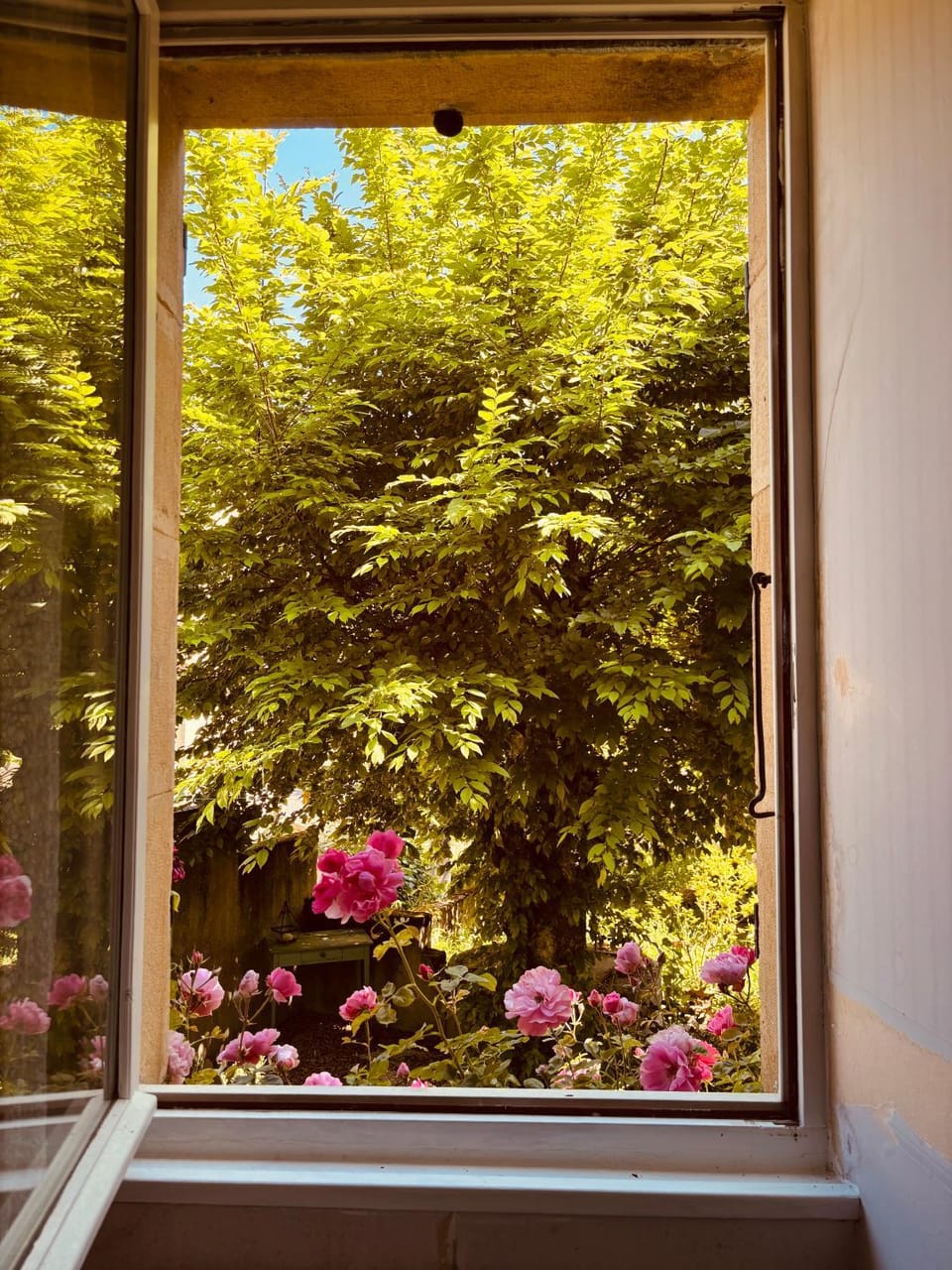 Garden view