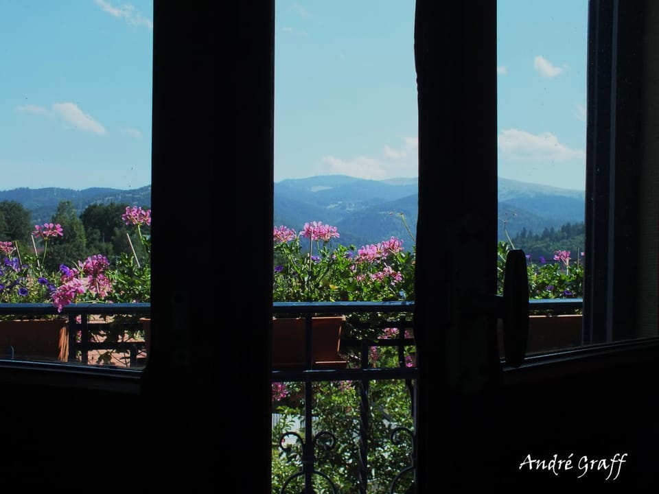 Au Jardin Gourmand de la Vallée Bed and Breakfast in Vosges