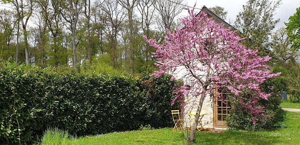 Entre Loire et Forêt House in Blois