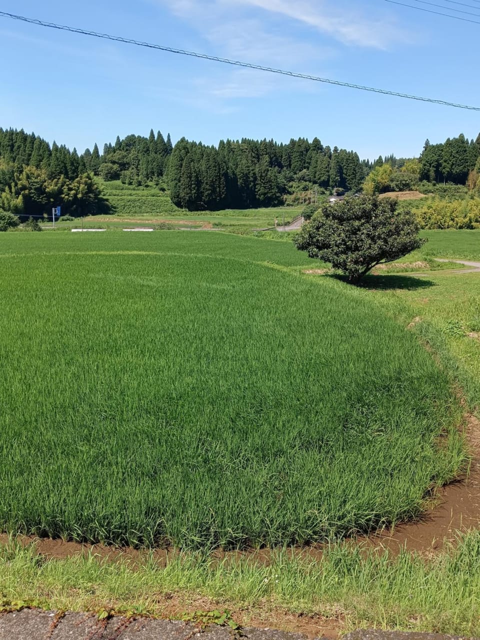 Day, Natural landscape