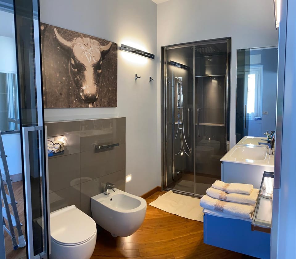 Ozanam Terrace Apartment in Turin