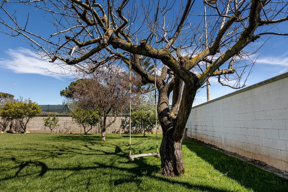 Spring, Day, Natural landscape, Garden, Garden view