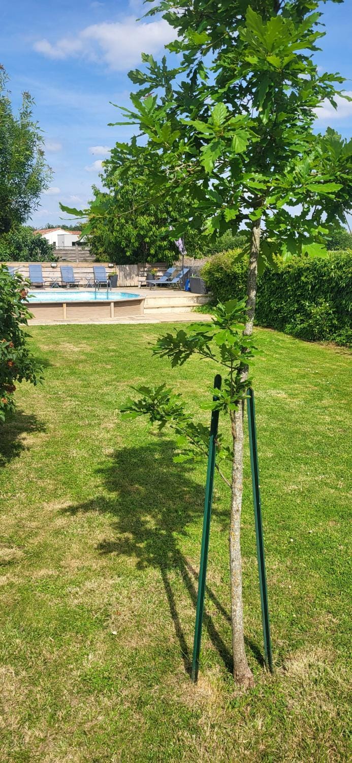 Spacious courtyard cottage House in Pays de la Loire