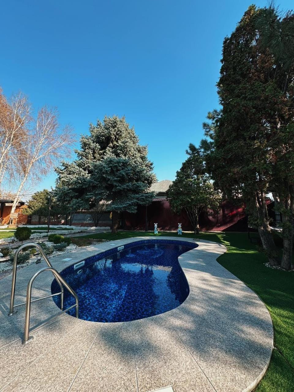 Day, Garden, Pool view, Swimming pool, Swimming pool