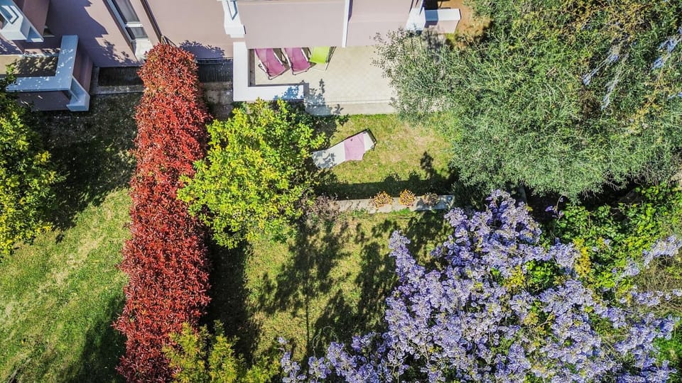 Bird's eye view, Garden, Garden, Garden view, Garden view