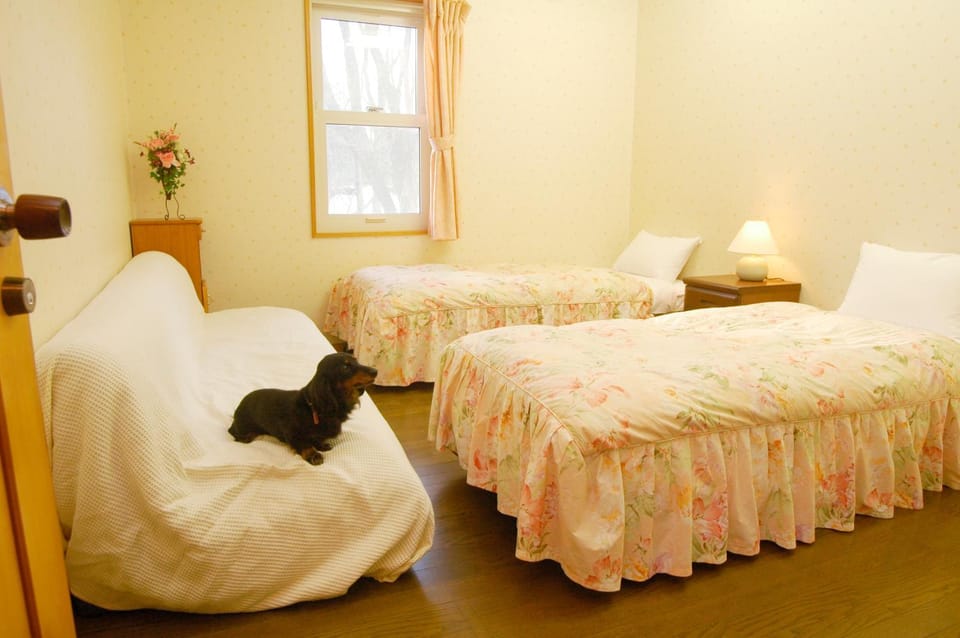Photo of the whole room, Pets, pet friendly