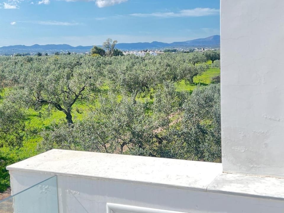 villa yasmine Villa in Tunisia