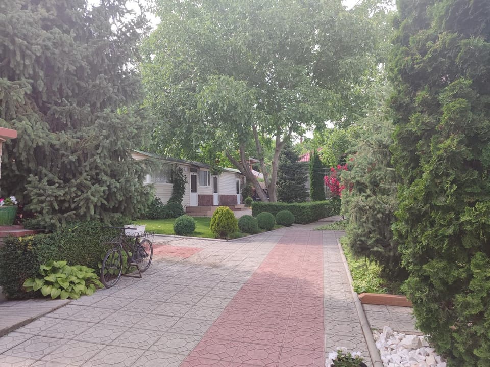 Property building, Day, Natural landscape, Summer, Garden, Garden view