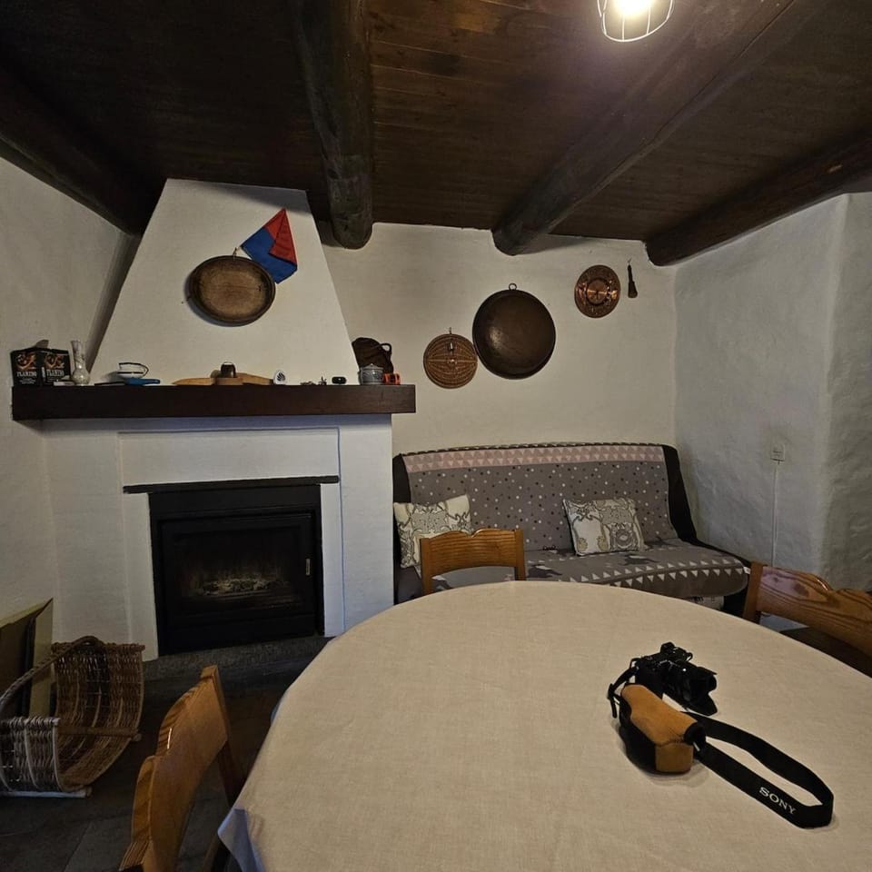 Living room, fireplace