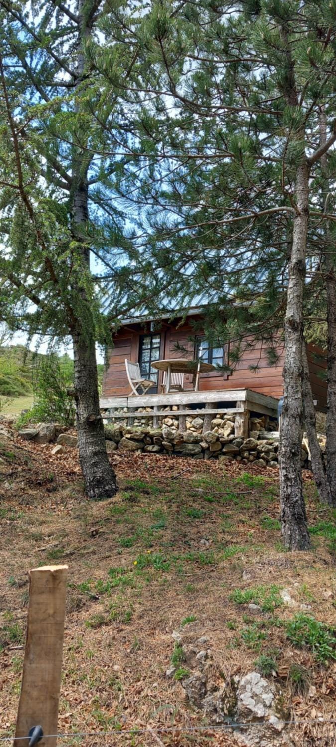 Chalet de montagne Chalet in Occitanie