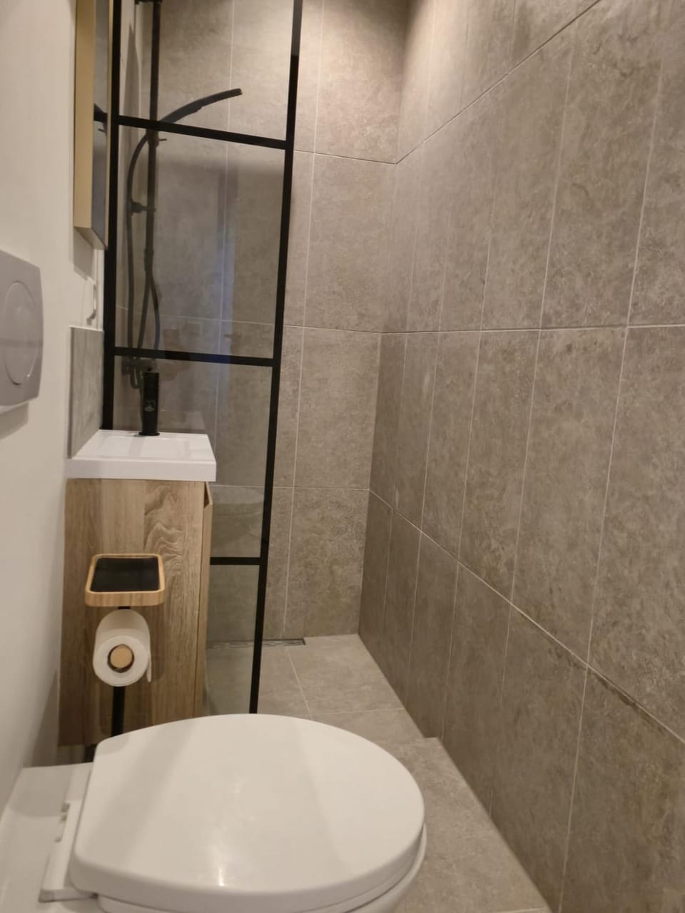 Shower, Toilet