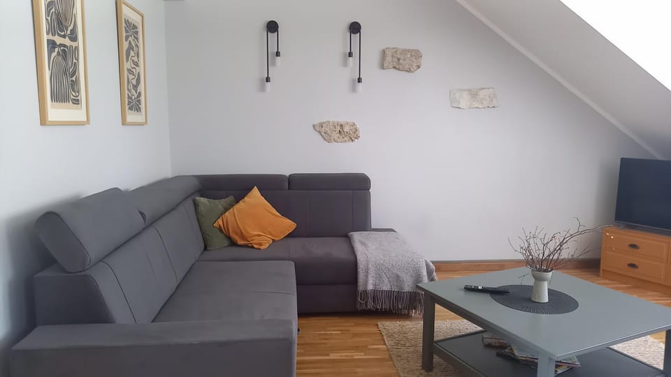 Pihtla tee külaliskorter 3 Apartment in Estonia