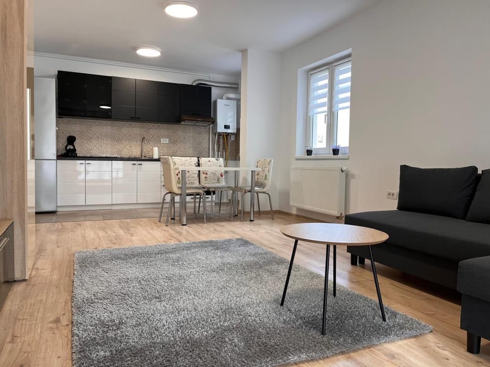 Comfortable apartment in Coresi area Apartment in Brasov