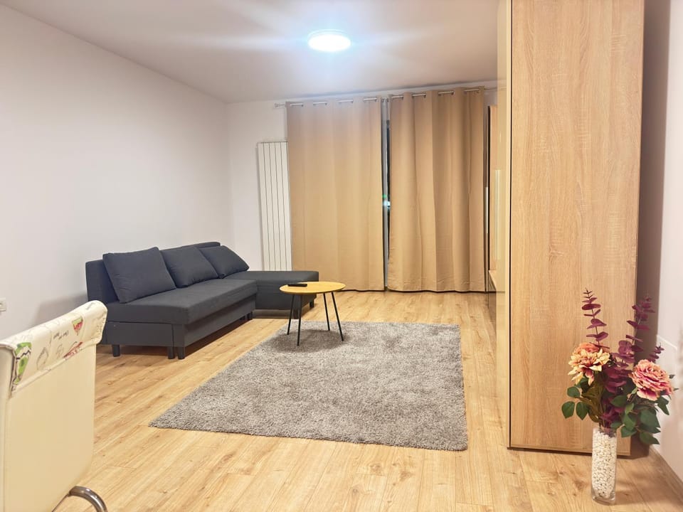 Comfortable apartment in Coresi area Apartment in Brasov