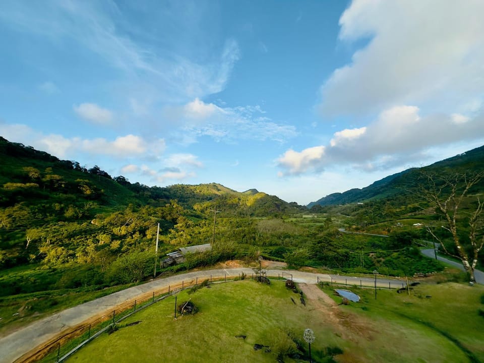View (from property/room), View (from property/room)