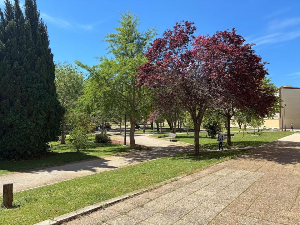 Garden, Garden view