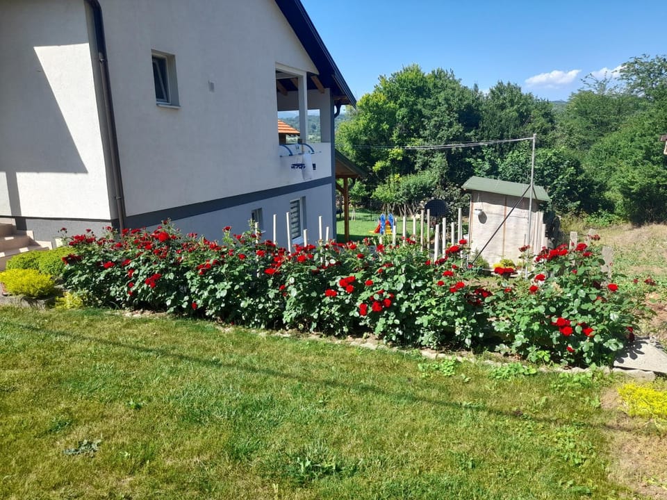 Studio apartman Goran Apartment in Serbia
