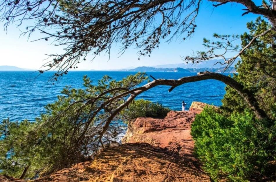 Charmant T3 dans villa proche de la mer Apartment in French Riviera