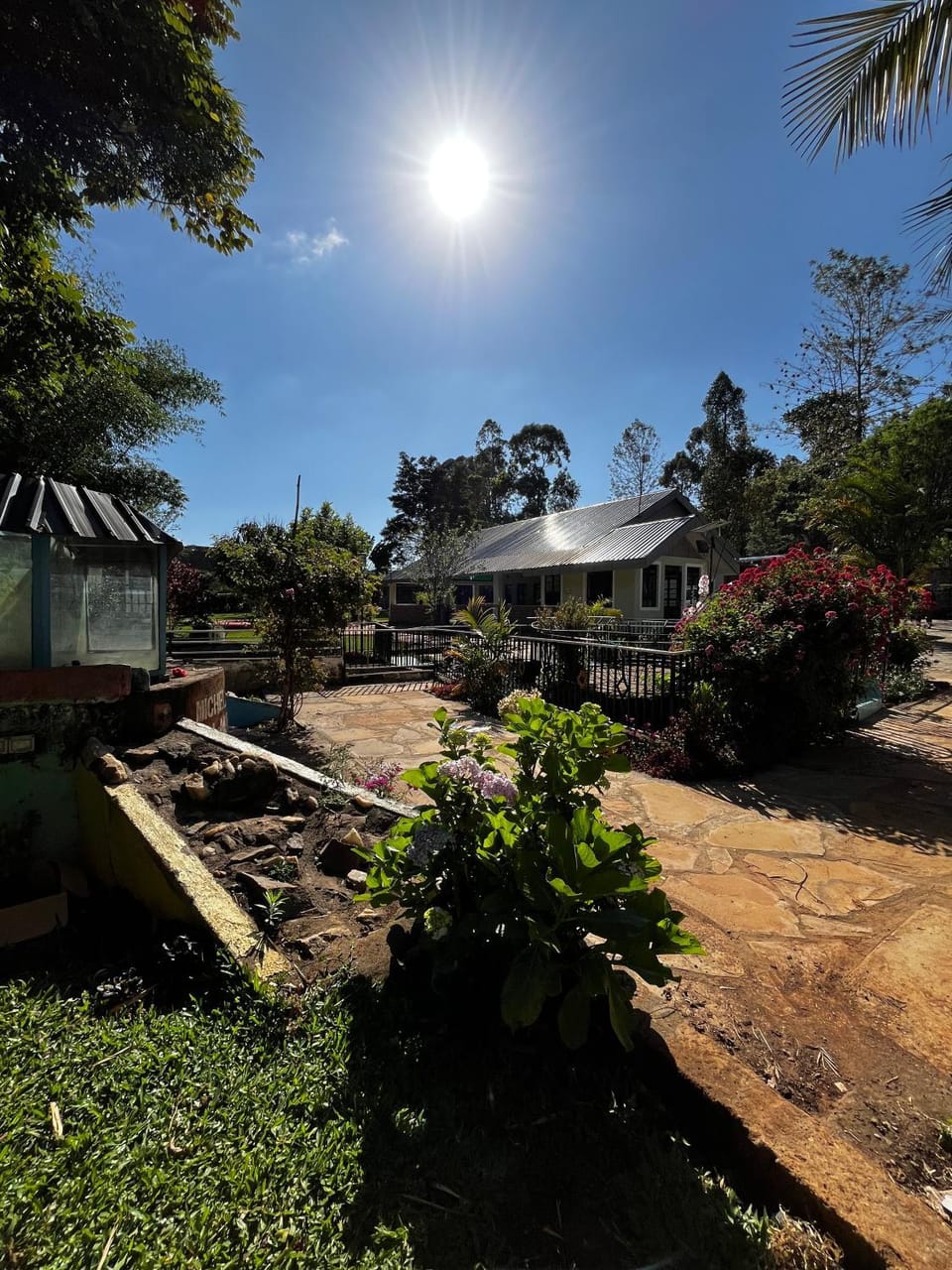 Day, Garden view