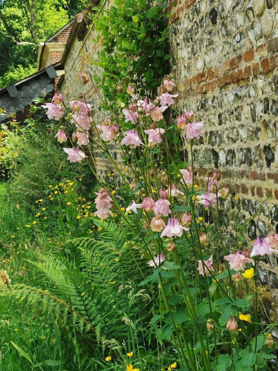 Les gîtes de Wargemont L'Ecurie House in Normandy