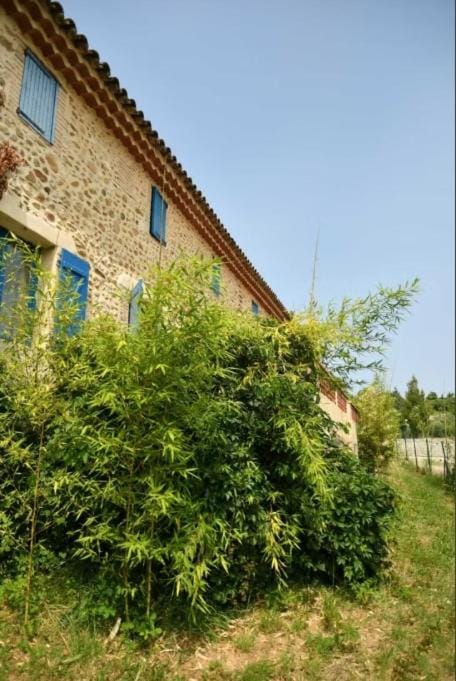 Mas du Ranquet House in Occitanie