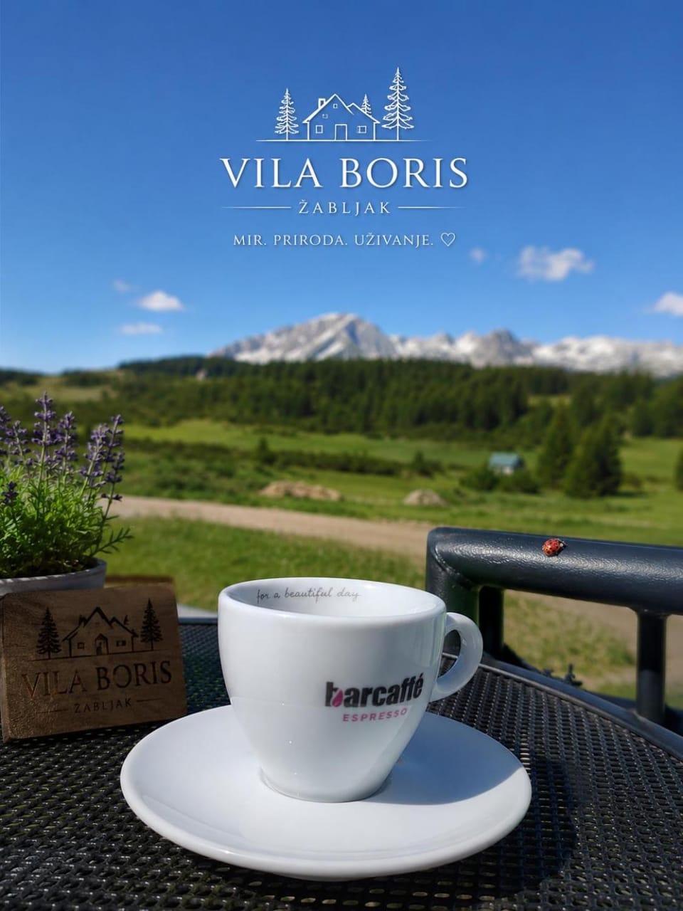 Villa Boris Villa in Montenegro