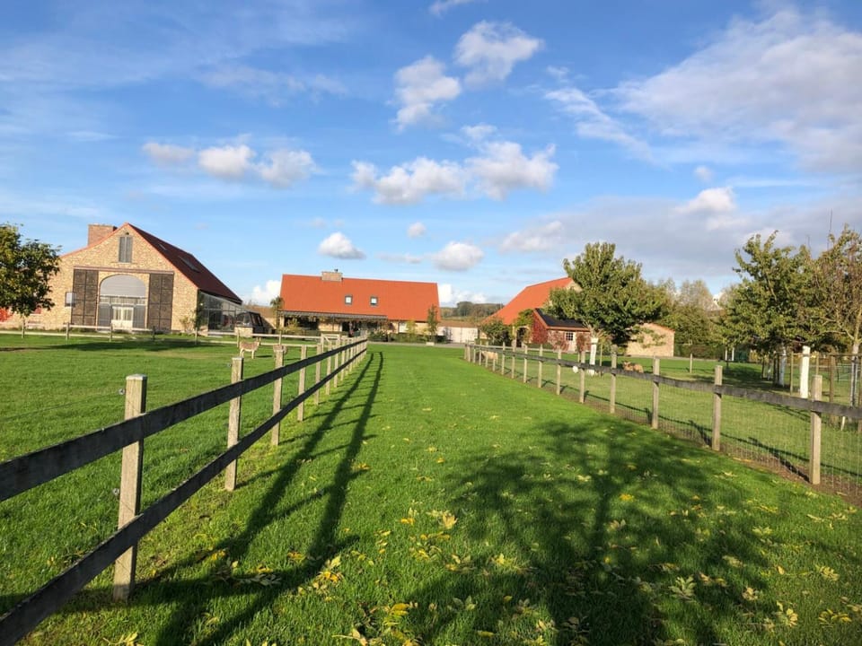 Natural landscape, Garden
