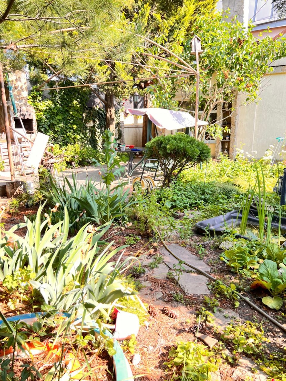 Inner courtyard view
