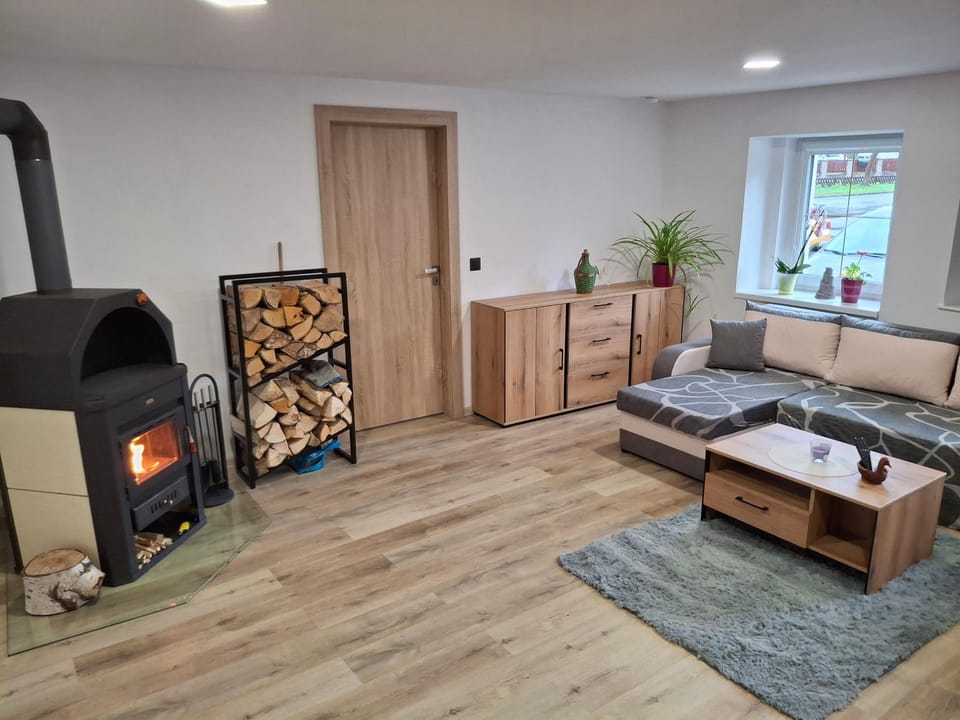 Vybavený byt Apartment in Czechia