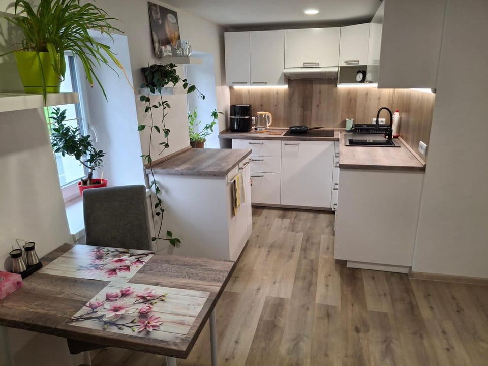 Vybavený byt Apartment in Czechia