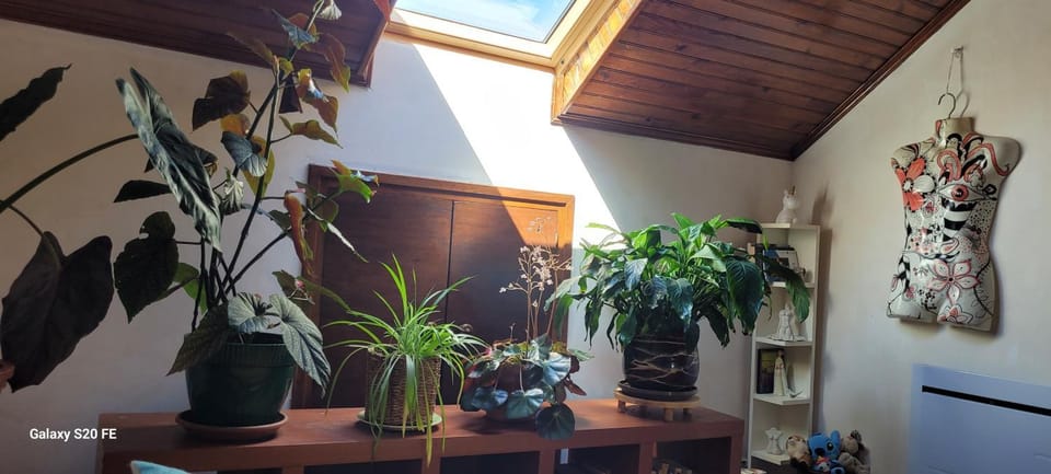 Le Grenier d'Artiste Bed and Breakfast in Occitanie