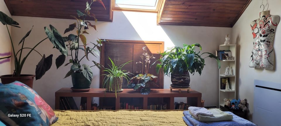 Le Grenier d'Artiste Bed and Breakfast in Occitanie